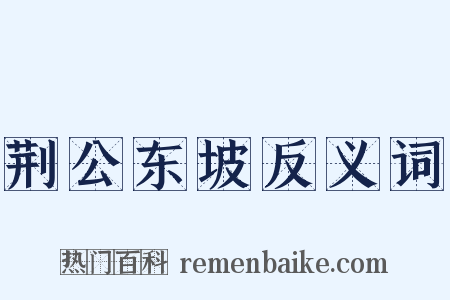 荆公东坡反义词是什么意思的图片
